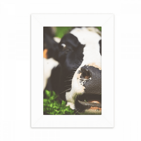 Pcture m Animal Cow Desktop Photo Frame Picture Display Decoration Art Painting