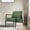 Green, variant on DREAMSIDEA Chenille Home Accent Chair, Modern Accent Armchair with Metal Frame and Thicken Cushion Reading Chair for Living Room,Green