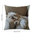 thumbnail image 3 of Virelaxpo Fun Pets Faux Embroidery Pillow Cover 45x45cm, Decorative Cushion Cover for Sofa Bed Living Room Home Decor with Cute Animal Theme Designs, 3 of 6