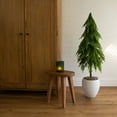 thumbnail image 5 of Nearly Natural 4ft. Artificial Real Touch Down Swept Norfolk Pine Tree with Natural Look, 5 of 6
