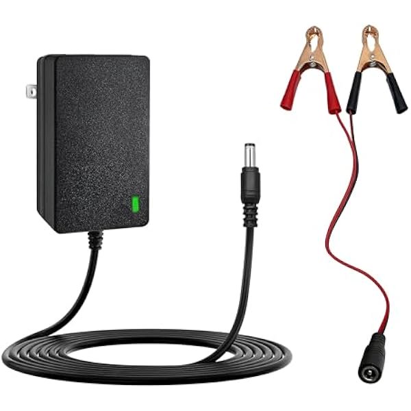 HAYAN6V Battery Charger for Kids Ride On Cars Bumper Cars - Universal 6V Charger for Cocomelon, Lamborghini, Unicorn, Flybar, Monster Jam, Fire Truck Ride On Toys 6V Power Supply for Kid Trax
