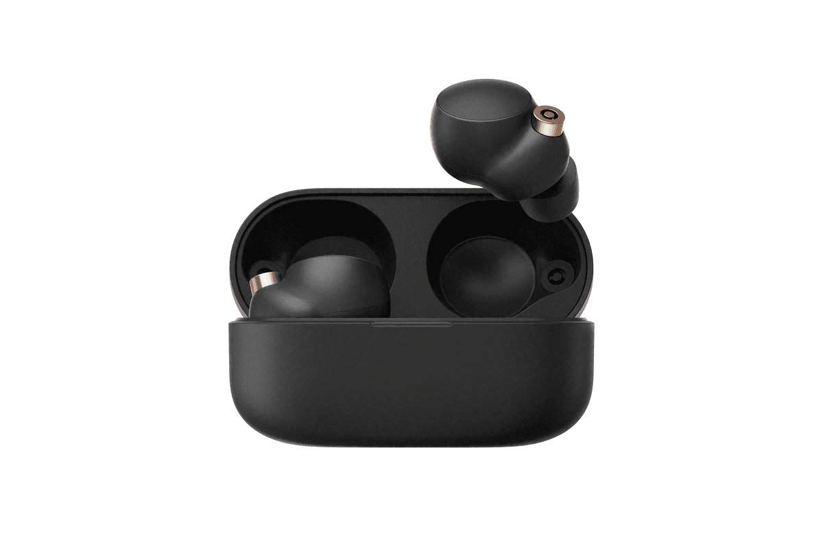 Sony True Wireless Earbuds with Charging Case, Black