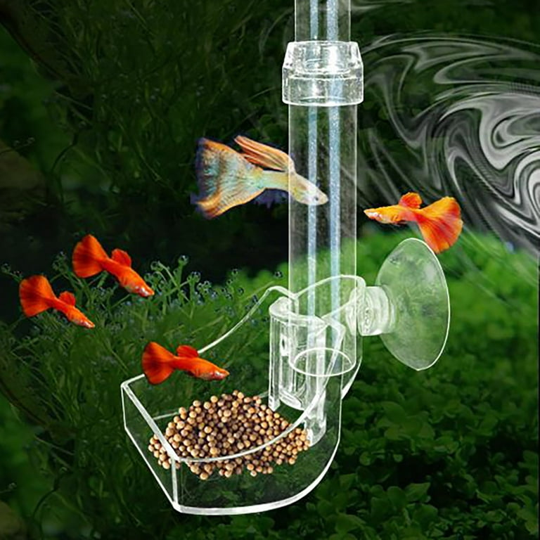 fish tank accessories all animal food Aquarium Shrimp Feeding Dish Set, Transparent Shrimp Feeding Tube, Fish Feeding Supplies with Feeding Ring Cleaning Brush : Pet Supplies Feed your aquarium fish using a feeder cone Fish Food & Supplies |