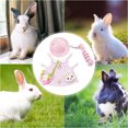 thumbnail image 3 of Conjunto de correa de arnés para mascotas pequeñas Ropa de conejo Correa de pecho de viaje (Rosa M) Likrtyny Para estrenar, 3 of 8