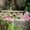 Garden Gnome Under $5 A1659, variant on sdhkgrrt Garden Gnome, Outdoor Welcome Sign, Courtyard Figurine Decor, Patio Welcome Decoration with Doll, Front Door Decor, Lawn Accent, Garden Pathway Decor, Balcony Decor, Home Entrance Sign