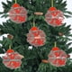 thumbnail image 5 of Adornos Navideños para Árbol, Monogramas Decorativos Acrílicos 2D con Gorro de Papá Noel, 26 Letras, Adornos Colgantes para Manualidades, Decoración Navideña Del Hogar., 5 of 5