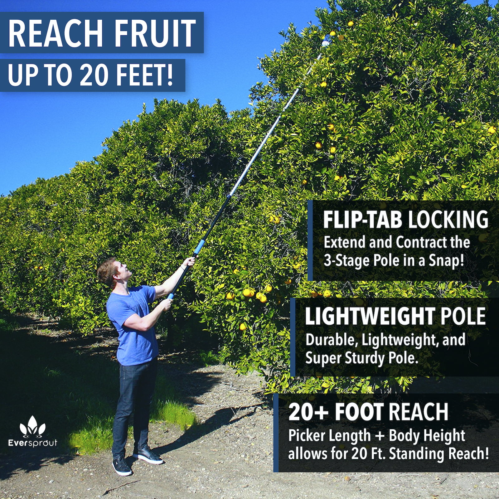 Preassembled 20+ Foot Reach Eversprout 13-Foot Fruit Picker Easy To Attach 