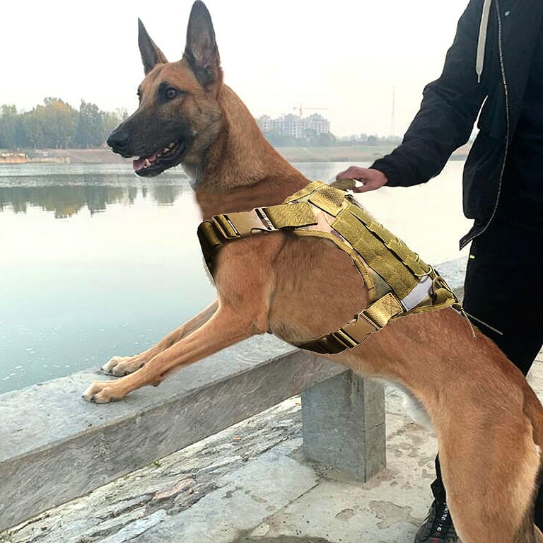 Camo vest for dogs discount