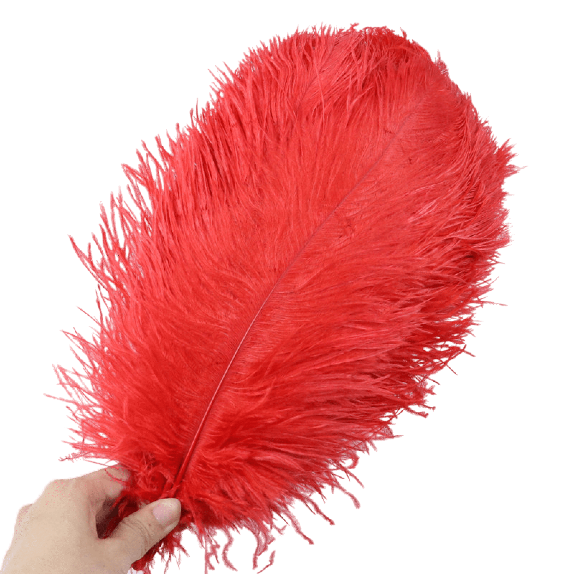 Red ostrich feathers deals