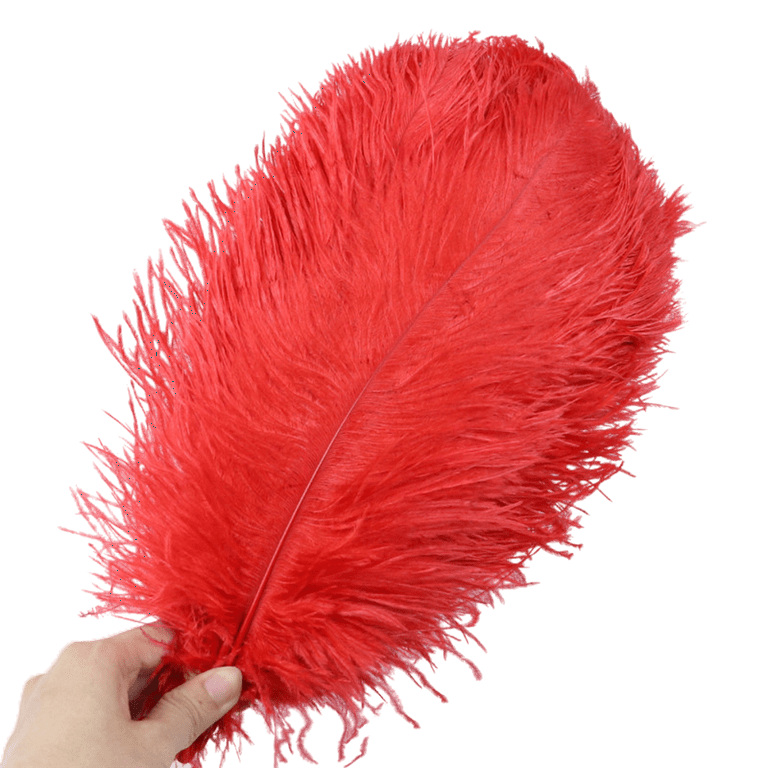 Meander leninismen lur EUBUY 10Pcs Colorful Natural Ostrich Feathers Party Carnaval Wedding  Accessories for Jewelry Making Plume Crafts Vase DIY Dream Catcher  Decorations Red - Walmart.com
