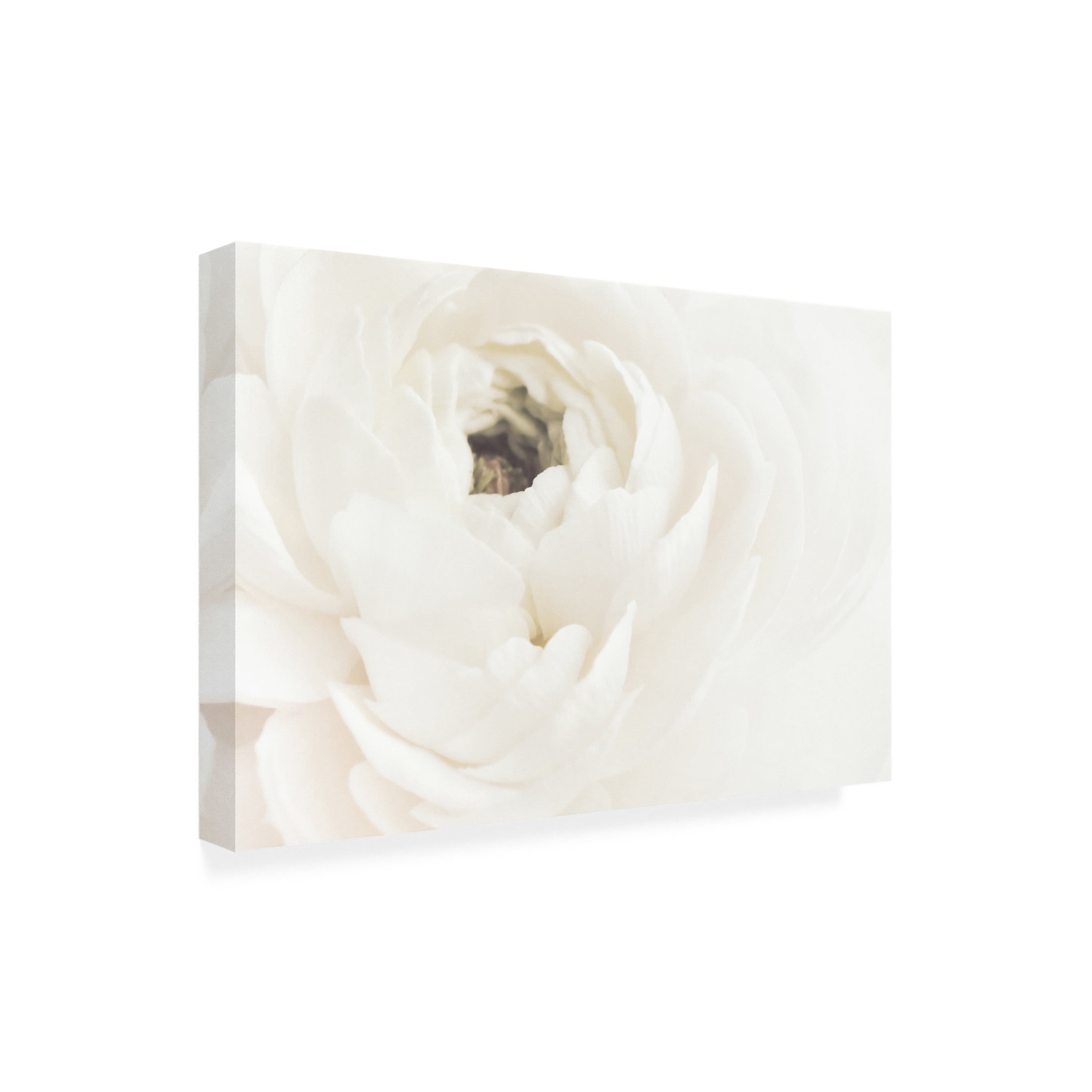 Pictufy Studio III 'White Flower 2' Canvas Art - 47 x 30 Inches