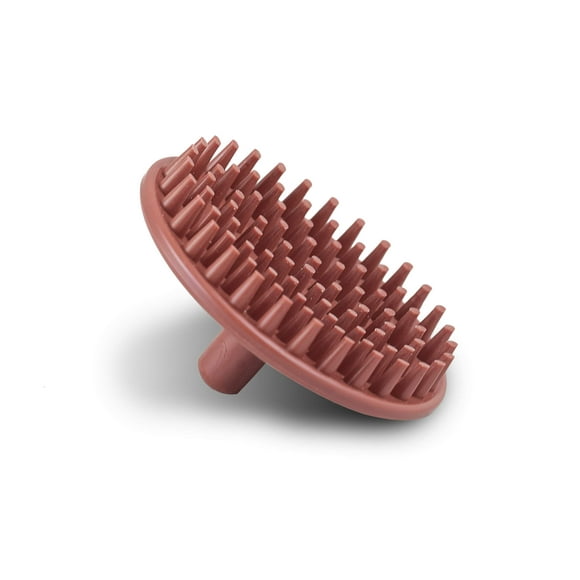 Campbell's Brosse à Shampooing et Vivifiant pour Cuir Chevelu