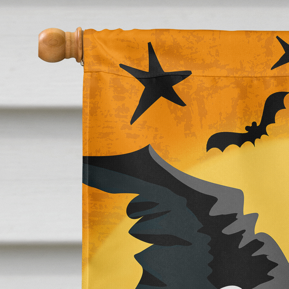 Carolines Treasures VHA3019CHF Halloween Wicked Witch Flag Canvas House Size  Large multicolor