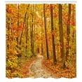 thumbnail image 3 of Ambesonne Fall Shower Curtain, Pathway in the Wilderness, 69"Wx75"L, Orange Pale Green Brown, 3 of 3