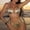 04-Gold, variant on Women's Sparkling Golden Bikini Sets High Waisted & Adjustable Tie Side Two Piece Swimsuit Vintage Summer Swimwear