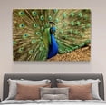 thumbnail image 4 of Póster de lienzo de pavo real, decoración de dormitorio, paisaje deportivo, decoración de oficina, regalo, estilo marco, 20 x 30 cm, 4 of 8