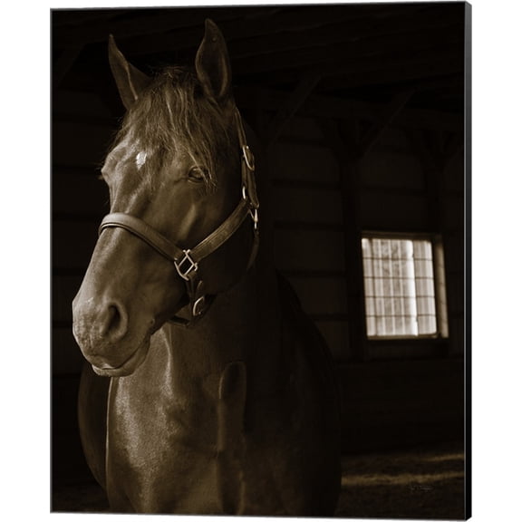 Great Art Now Out of the Shadows by Jim Dratfield Canvas Wall Art 16W x 20H