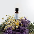 thumbnail image 1 of Homeidcs SereneScent™ Lavender & Chamomile 15ml Home Fragrance Essential Oil, 1 of 5