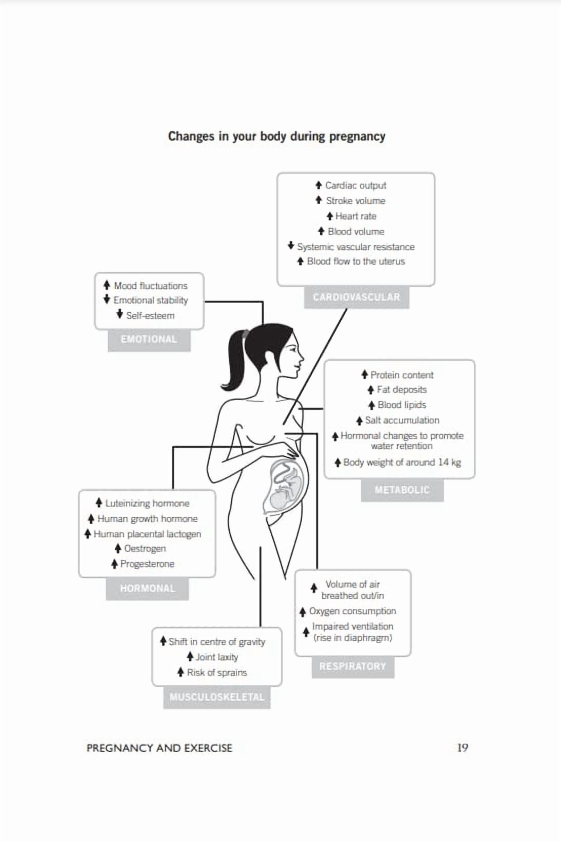 Bump It Up : The Dynamic, Flexible Exercise and Healthy Eating Plan for Before, During and After Pregnancy