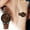 C, variant on Hearth & Gear Casual Ladies' Fashionable Watch With Dial Stainless Steel Bottom Cover Silicone Strap Watch Couples Bracelets That Light up for Senior Womens Watch with Secondhand Wristwatch Mens