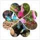 thumbnail image 4 of Guantes de jardinería de seguridad para niños de 3 a 6 años Palma de goma para uno (Pi, 4 of 5