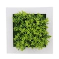 thumbnail image 1 of Estéreo Colgante De Pared Planta De Simulación Marco De Fotos Decoración De Marcos De Flores Yuarrent HA041828-12, 1 of 6