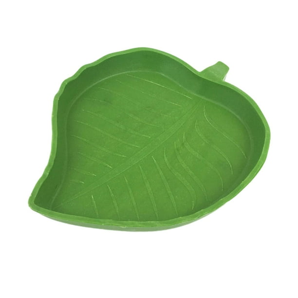Plato de agua para lagartijas, hábitat, plato de alimentación decorativo, accesorios para anfibios estilo B
