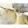 thumbnail image 3 of Grey, Jace 14x12 Black Modern Framed Museum Art Print Titled - Classic Leaves, 3 of 5