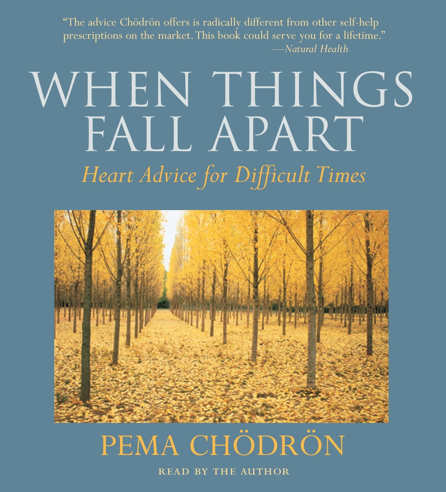 when things fall apart by pema chödrön