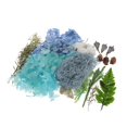 thumbnail image 2 of Flores prensadas secas reales Plantas naturales に 適用 Álbum de recortes, vela de bricolaje, fabricación de artesanías con colgante de joyería de resina Soledad flores de hojas secas naturales, 2 of 8