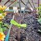 thumbnail image 5 of Bewildely Letrero de planta único, regalo de amistad para amantes de las plantas, decoración de plantas, como letrero o etiqueta de planta Jardín y Patio dos, 5 of 6