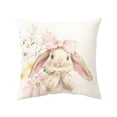 thumbnail image 6 of Djunllk Pillow Covers 18x18, Spring & Easter Cozy & Breathable Holiday Home Farmhouses Decorative Pillowcases, 6 of 6