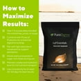 thumbnail image 6 of PuraDyme Liyf Essentials, Amino Acids Supplement for Energy and Longevity (14 oz), 6 of 9