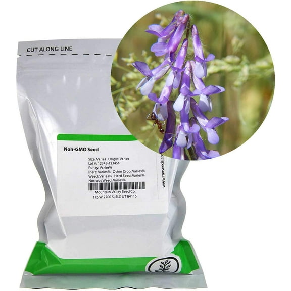 Mountain Valley Seed Company Hairy Vetch Winter Cover Crop Plant Seeds, Non-GMO
