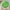 Green, variant on JingChun Meditation Floor Pillow, Round Large Pillows Seating for Adults, Tufted Corduroy Floor Cushion for Tatami Living Room