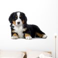 thumbnail image 1 of Puppy Bernese Mountain Dog Wall Decal by Wallmonkeys Peel and Stick Graphic (36 in W x 24 in H) WM85500, 1 of 4