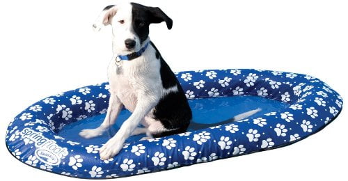 small dog pool float