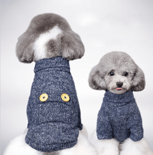 puppy winter clothes