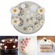 thumbnail image 5 of Yuarrent Molde de silicona con forma de flor 3D para decoración de tartas, moldes para Fondant de Chocolate y azúcar de gelatina de silicona Herramientas y accesorios para hornear Margarita Yuarrent HA044594-01, 5 of 6