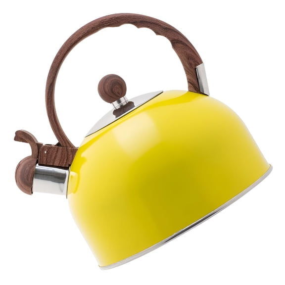ACDANC Pot Metal Teapot with Strainer Stainless Steel Water Pitcher Kettle Whistle Make
