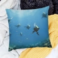 thumbnail image 2 of BANET Ocean Throw Pillow Cushion Cover, in Deep Sea Stones Rocks Fish Moss and Bubbles Art Photo, Decorative Square Accent Pillow Case 24x24in, 2 of 5