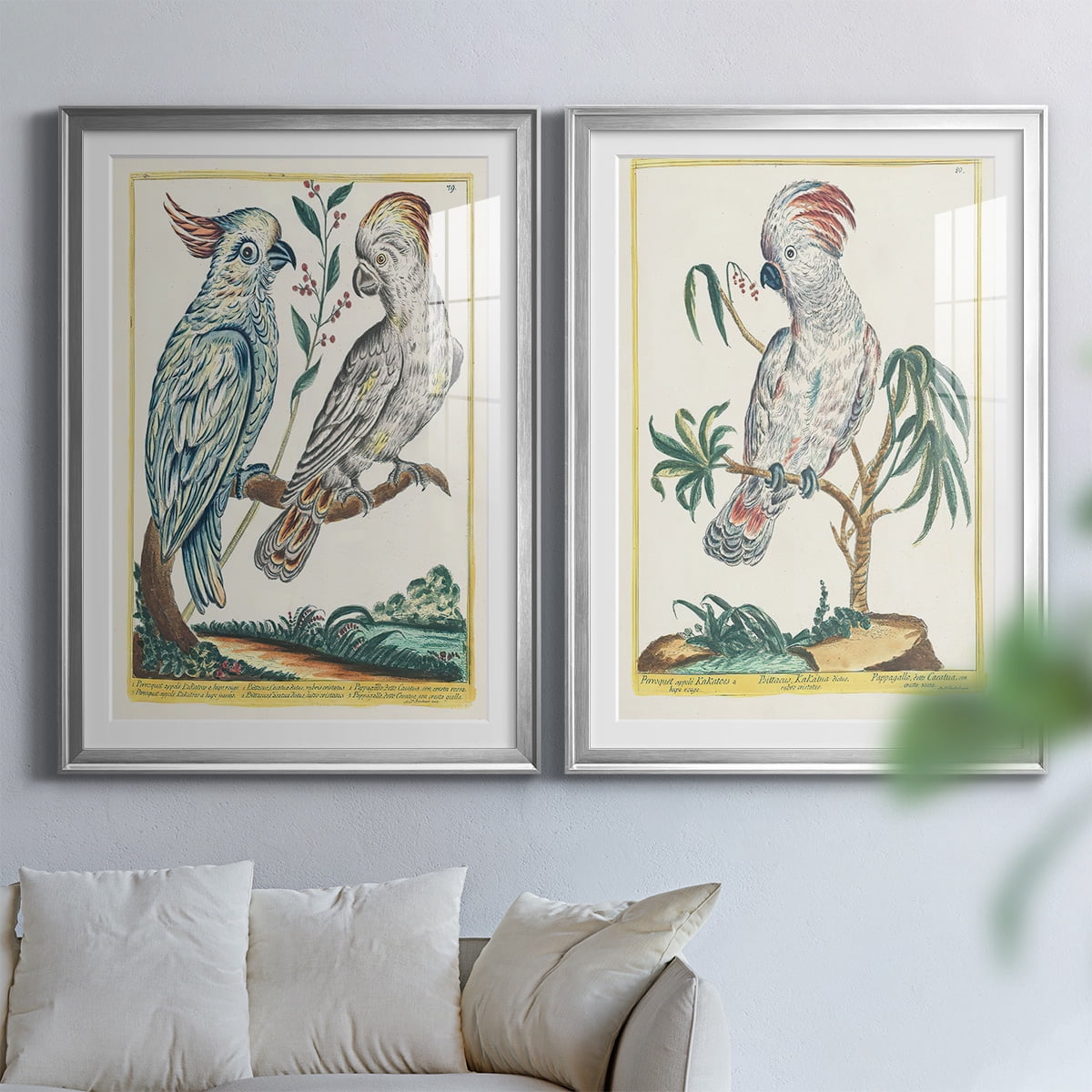 Wexford Home Pastel Birds I Premium Framed Print, 30.5" x 42.5" - Ready to Hang, Silver (Set of 2)