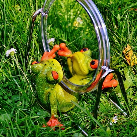 - LAMINATED POSTER Cute Mirror Image Frog Fun Mirror Funny Mirroring Poster Print 24 x 36