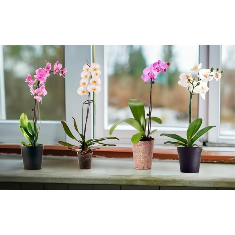 100 Clip A Forma Di Libellula Per Piante - Supporto Per Orchidee, Pomodori E Piante Rampicanti (Rosso) - Foto 4