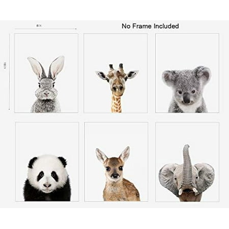 Woodland Animals Print Baby Animals Nursery Wall Decor Neutral Nursery Prints Woodland Animals Watercolor Wall Art Unframed Walmart Canada Woodland Animals Print Baby Animals Nursery Wall Decor Neutral Nursery Prints Woodland Animals Watercolor Wall Art Unframed Walmart Canada