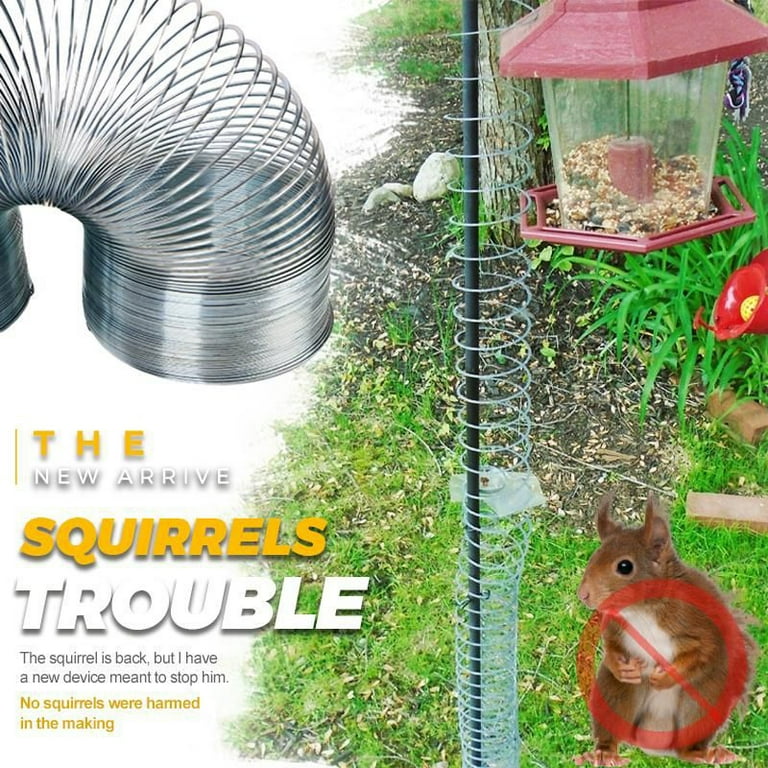 7x7x24 Squirrel Trap – Arnall Grocery