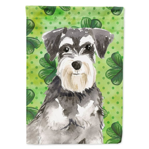 Carolines Treasures CK1796GF Shamrocks Schnauzer 2 Flag Garden Size  Small multicolor