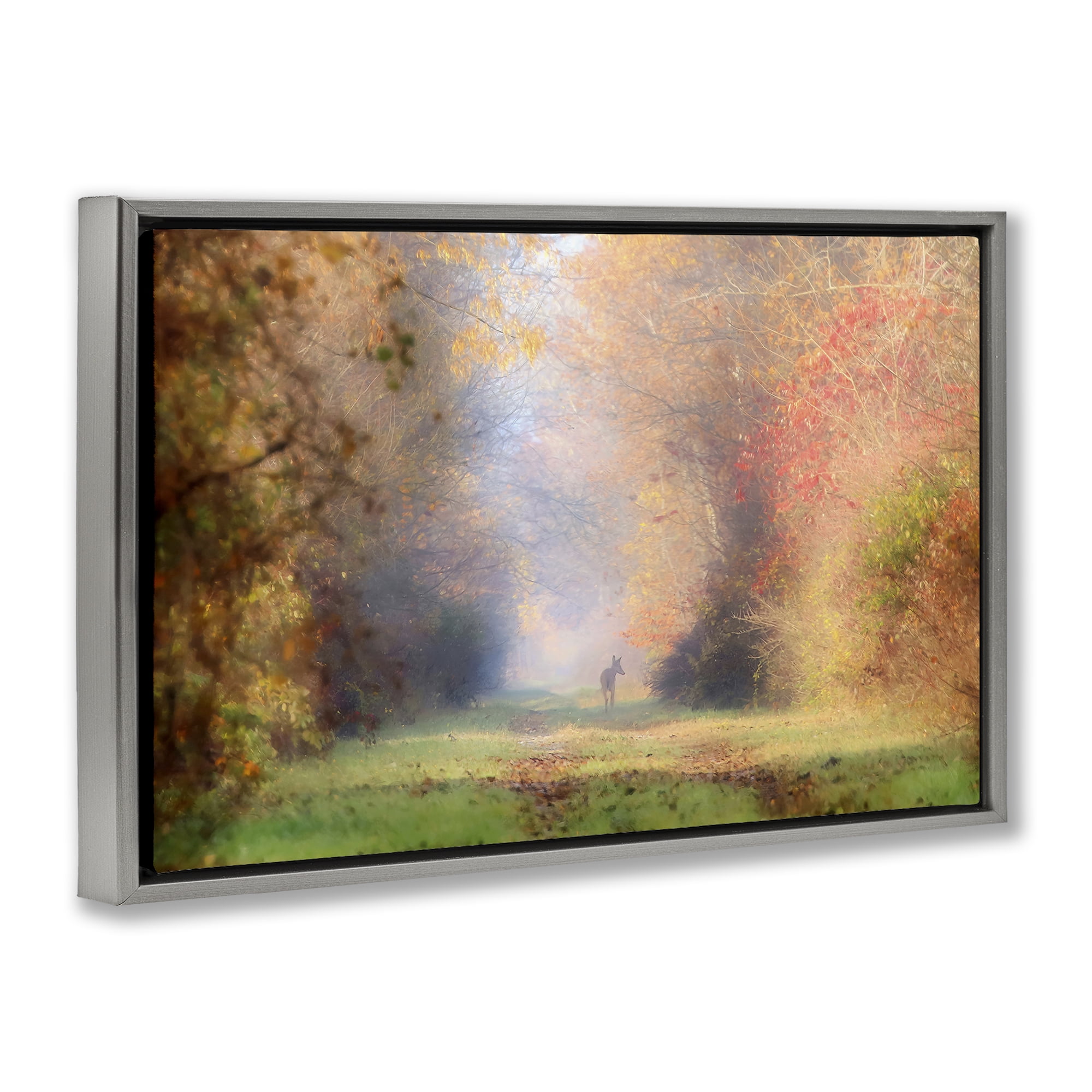 Stupell Industries Foggy Autumnal Forest Landscape & Nature Photography Gray Floater Framed Canvas Art Print Wall Art, 31 x 21