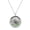 Rainbow Friendship, variant on Friendship Forever Stainless Steel Locket Pendant Floating Charms Necklace - Rainbow Friends