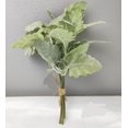 thumbnail image 1 of Dusty Miller Bunch Faux Plants And Trees, 1 of 1